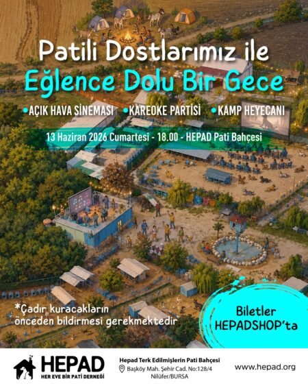 Patili Dostlarla Eğlence Bileti