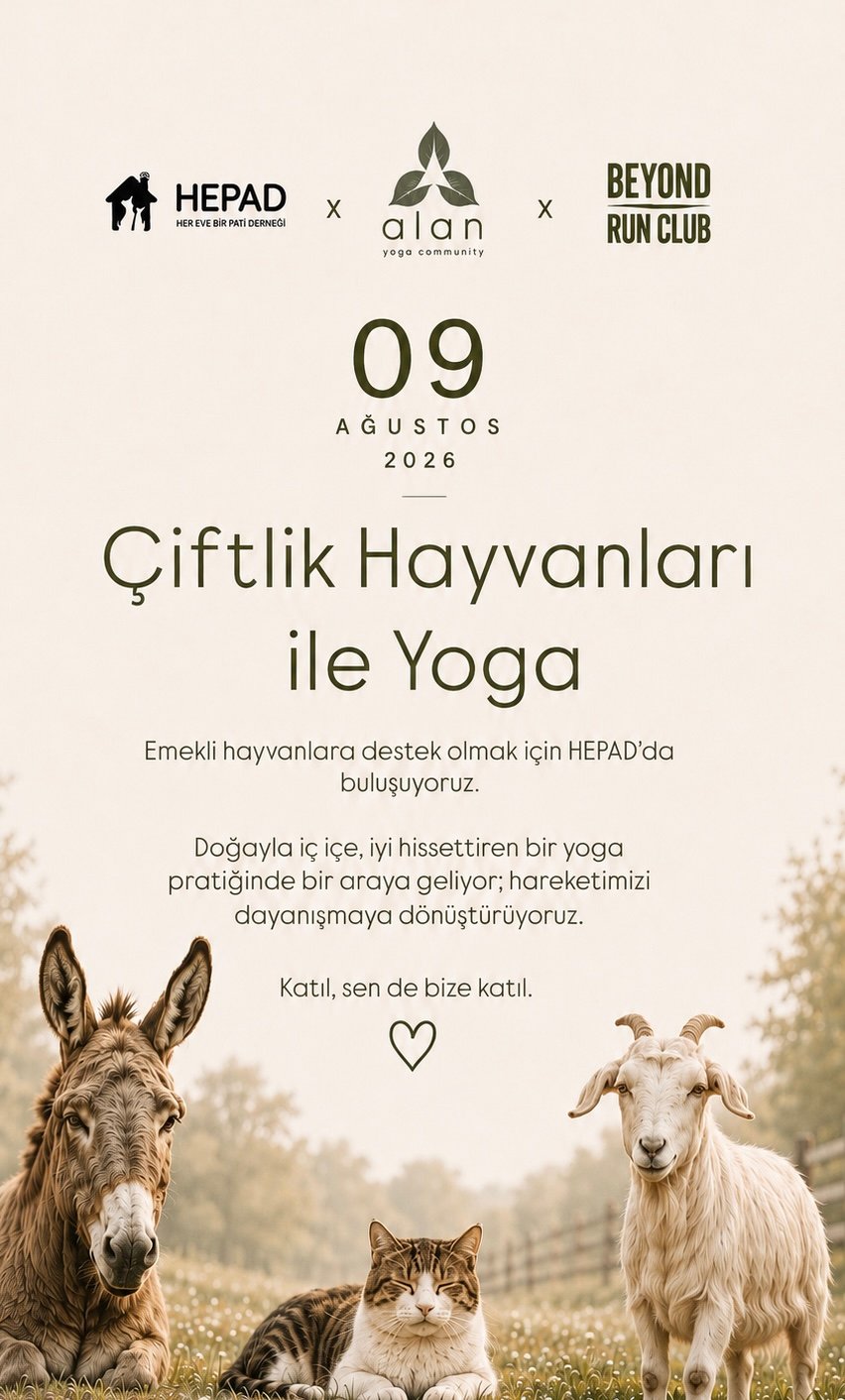 Yoga Etkinliği